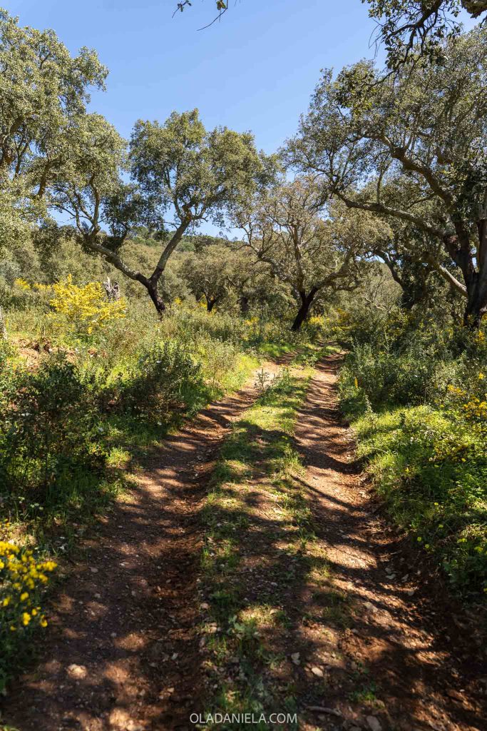 Walking the property of Hotel Convento de São Paulo, a tile-filled historic hotel in the Alentejo with lots of trails in nature