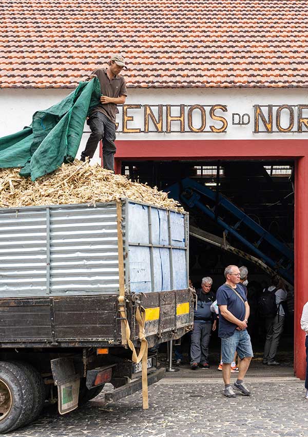 Engenhos do Norte Porto da Cruz Madeira Island