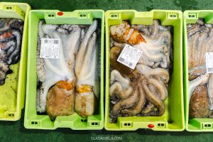 The daily octopus auction in Malpica on the Costa da Morte in Galicia, Spain