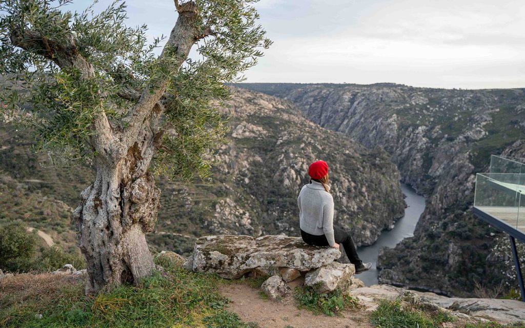 Near Miranda do Douro, one of the most beautiful villages in Portugal