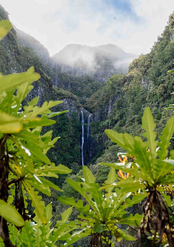 25 fontes hike Madeira Island