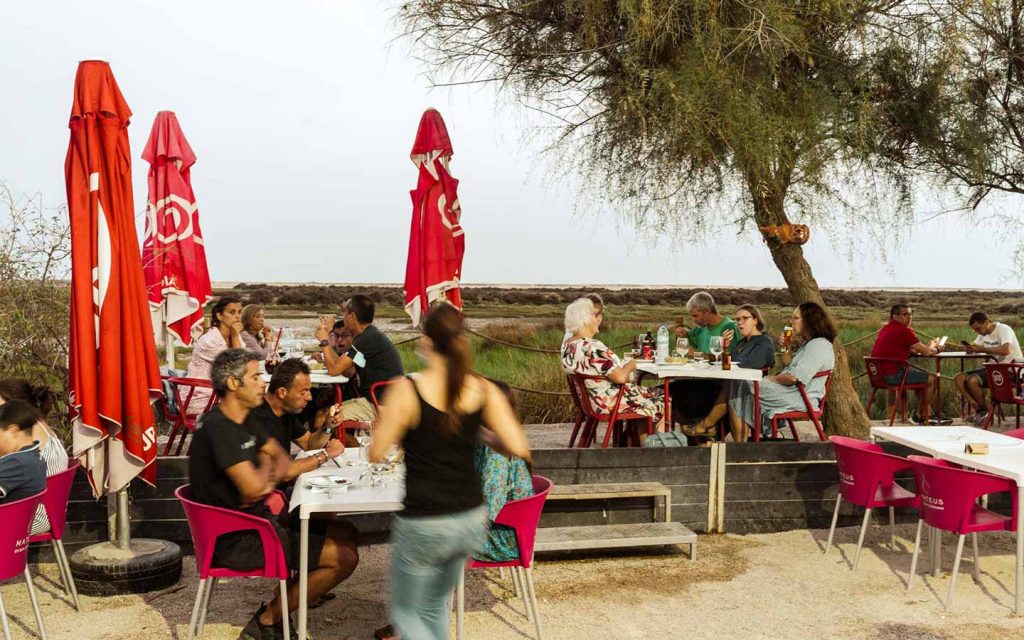 Os Fialhos, Pinheiro, Portugal