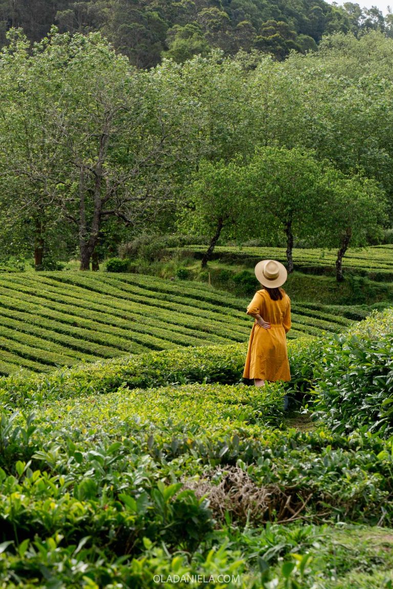 A woman in a yellow dress with a sun hat standing on the tea plantation at Gorreana on São Miguel Island, Azores